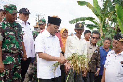 Carikan Solusii Agar Sawah di Desa Epil…