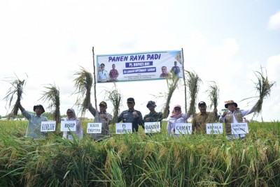 Dapat Manfaat Opla, Petani di OKI Bisa Panen…
