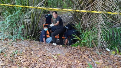 Ditemukan Tulang Belulang oleh Polisi, Diduga…