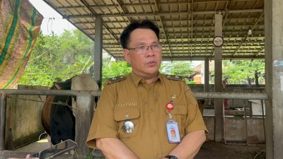 DKPP Sumsel Siapkan Lima Sentra Peternakan untuk Kejar Swasembada Daging