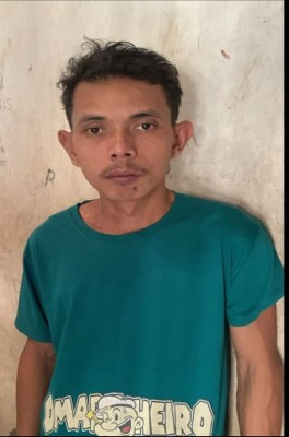 Gagal Panen Curian: Satu Pelaku Diamankan,…