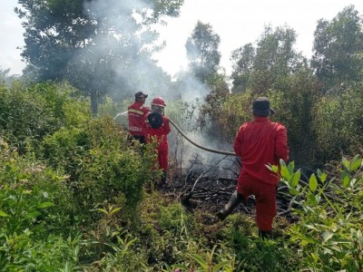 Karhutla 15 Hektare di Ogan Ilir Berhasil Dipadamkan, Tim Gabungan Lanjutkan Pendinginan