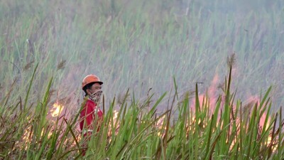 Karhutla di Sumsel Capai 54 Kejadian, Ogan…