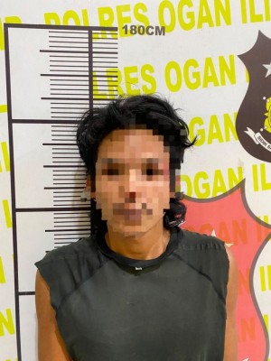 Laporan Warga Gagalkan Pencurian Sawit di Ogan Ilir, Satu Pelaku Ditangkap
