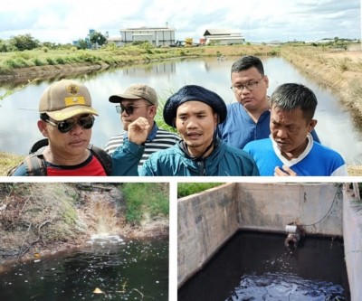 Limbah PKS PT Kelantan Sakti Diduga Cemari…