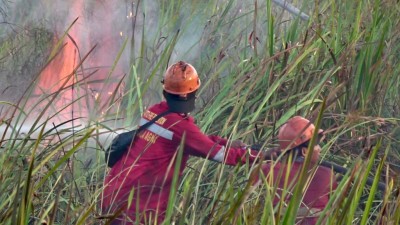 Musim Kemarau Picu Lonjakan Hotspot, Sumsel…