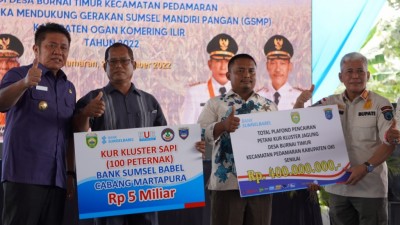 OKI Jadi Kawasan Pengembangan Jagung Berbasis…
