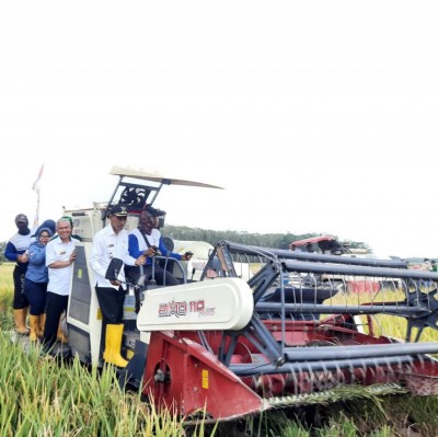 Panen Raya Melimpah, Wabup OKI Minta Kawal…