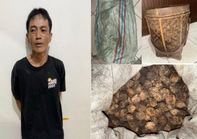 Pelaku Pencurian di Pondok Petani Ditangkap…