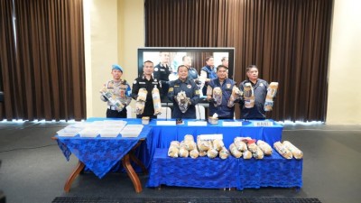 Polda Sumsel Bongkar Ladang Ganja 20 Hektar di Empat Lawang, 220 Kg Barang Bukti Disita
