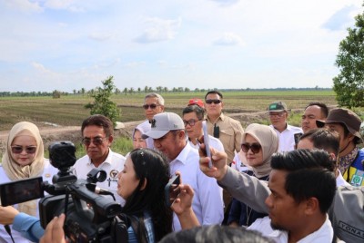 Produksi Gabah Sumsel Naik Drastis, Lampaui…