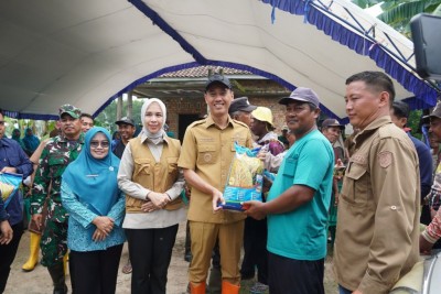 Pulihkan Sawah Terdampak Banjir, Bupati…