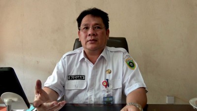 Puluhan Kerbau di Lahat Terjangkit Penyakit…