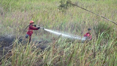 Sumsel Diperkuat 5 Helikopter, Antisipasi…