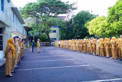 Tetap Kompak dan Berikan Banyak Manfaat…