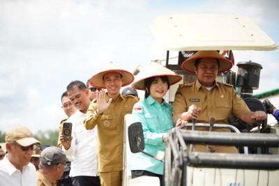Wakili Sumsel, Petani OKI Panen Raya Serentak…