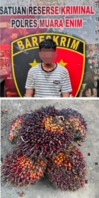 Warga Baturaja Diringkus Polisi Usai Ketahuan…